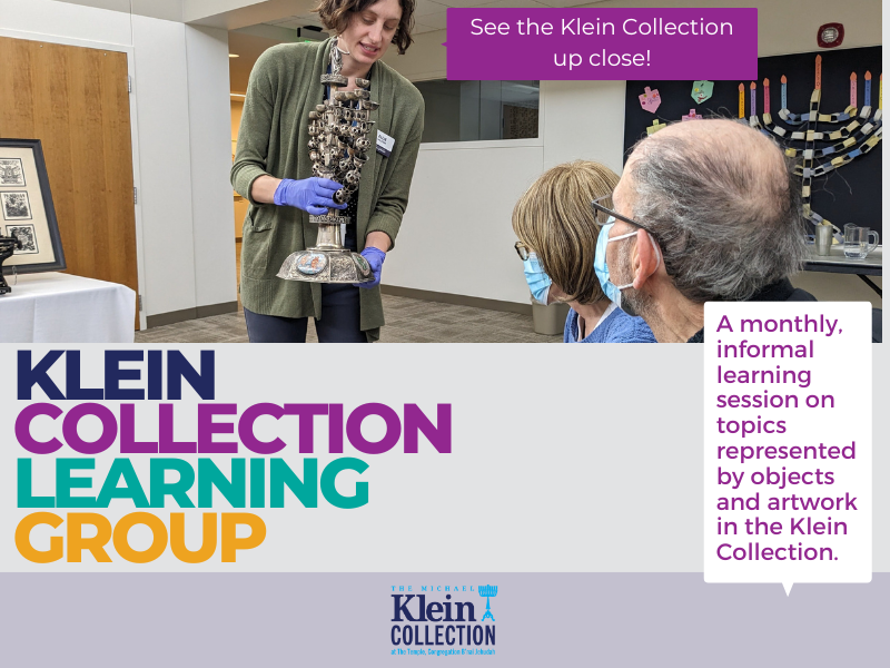 Klein Collection Learning Group