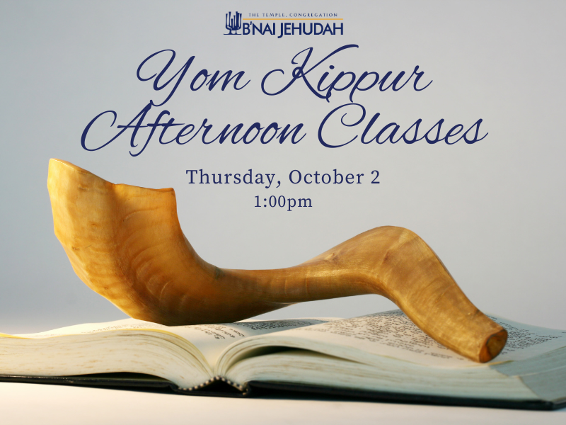 Yom Kippur Afternoon Classes