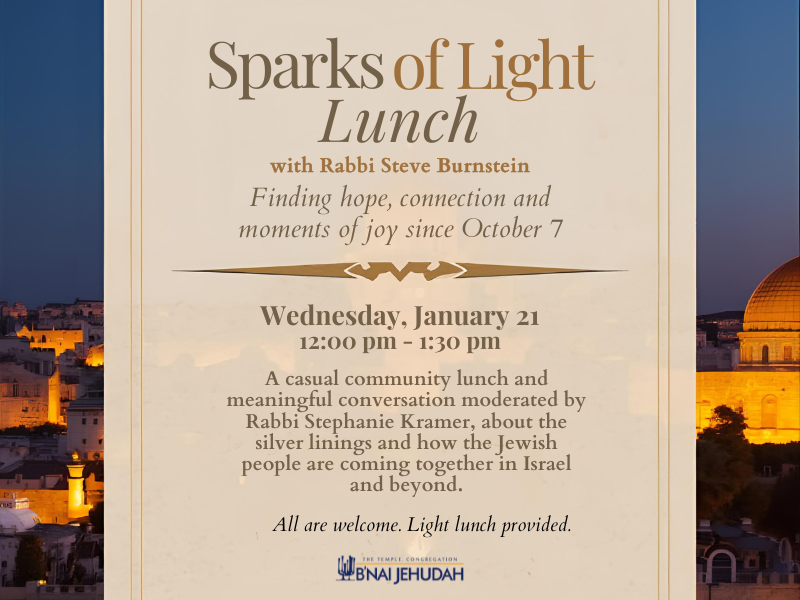 Sparks of Light Lunch with Rabbi Steve Burnstein